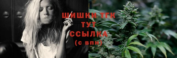 МДПВ Михайлов