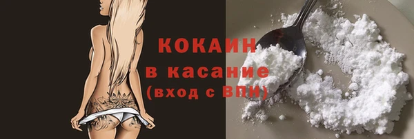 МДПВ Михайлов