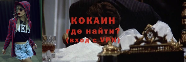 МДПВ Михайлов