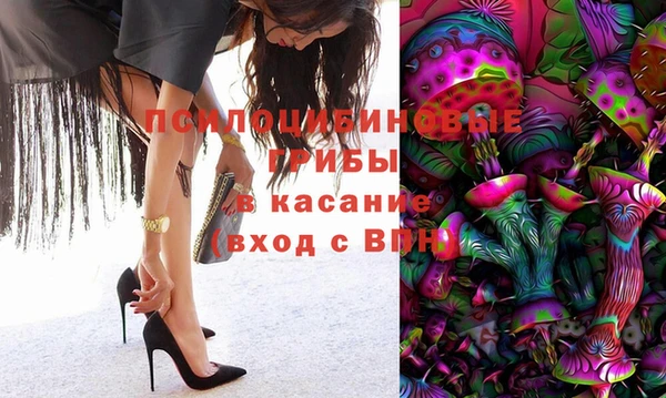 МДПВ Михайлов